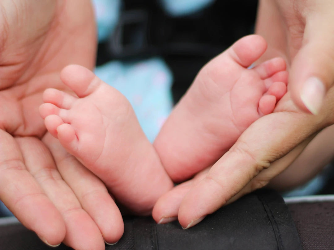 Ouderschap De Eerste Stappen in de Wereld van Baby- en Kinderopvang